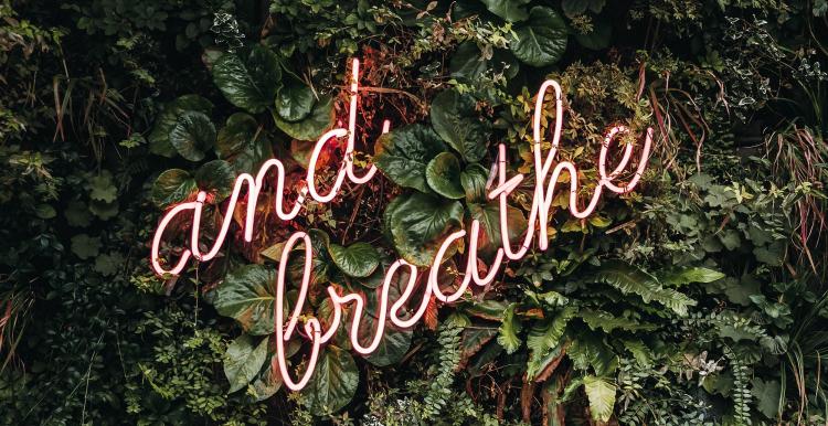 neon sign saying and breathe