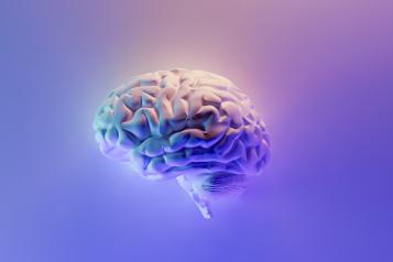 artist impression of a brain on blue background
